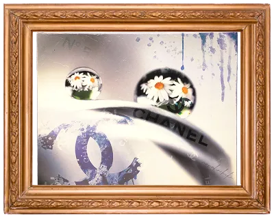 展示作品イメージ